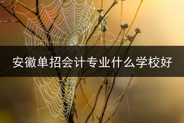 安徽单招会计专业什么学校好？