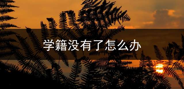 学籍没有了怎么办？