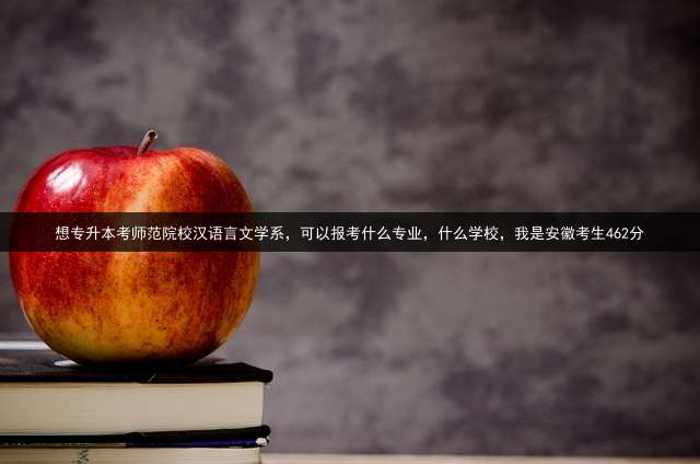 想专升本考师范院校汉语言文学系，可以报考什么专业，什么学校，我是安徽考生462分？