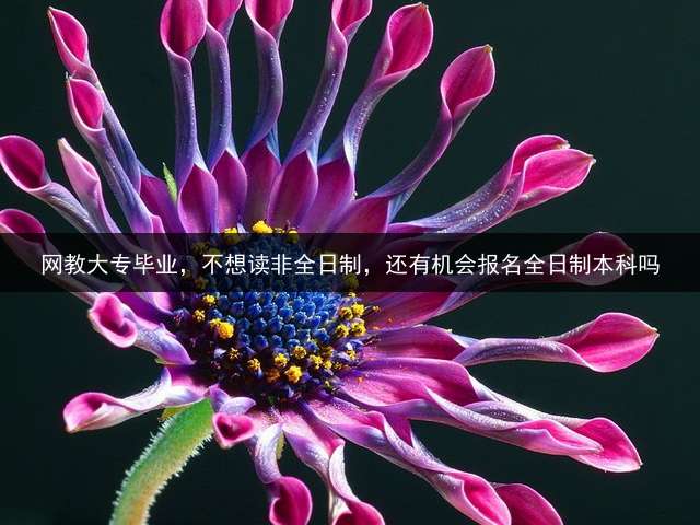 网教大专毕业，不想读非全日制，还有机会报名全日制本科吗？