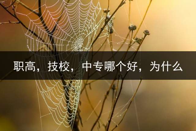 职高，技校，中专哪个好，为什么？