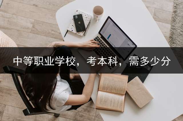 中等职业学校，考本科，需多少分？
