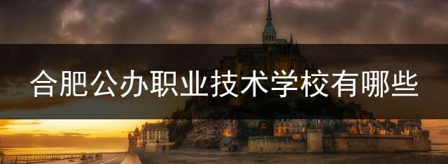 合肥公办职业技术学校有哪些？