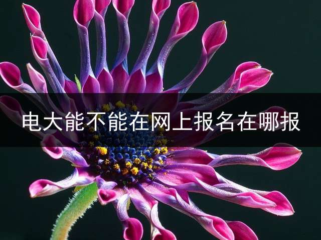 电大能不能在网上报名？在哪报？