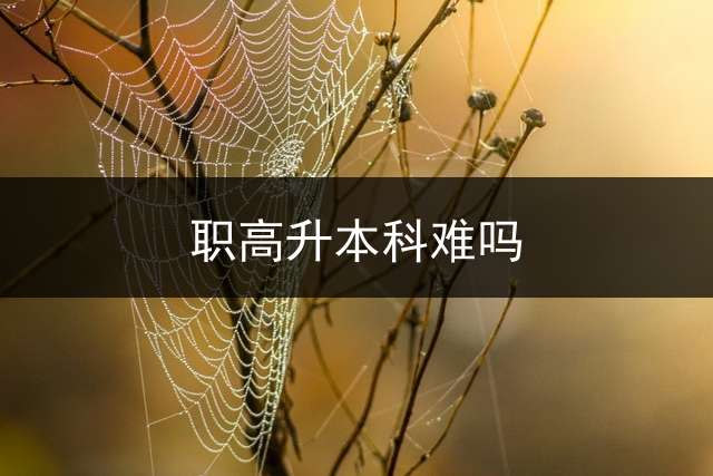 职高升本科难吗？
