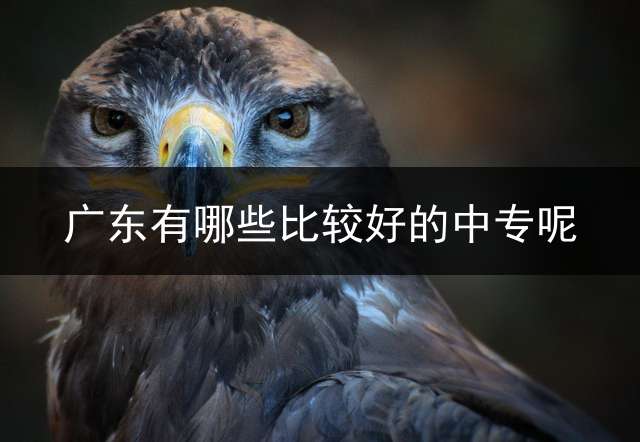 广东有哪些比较好的中专呢？