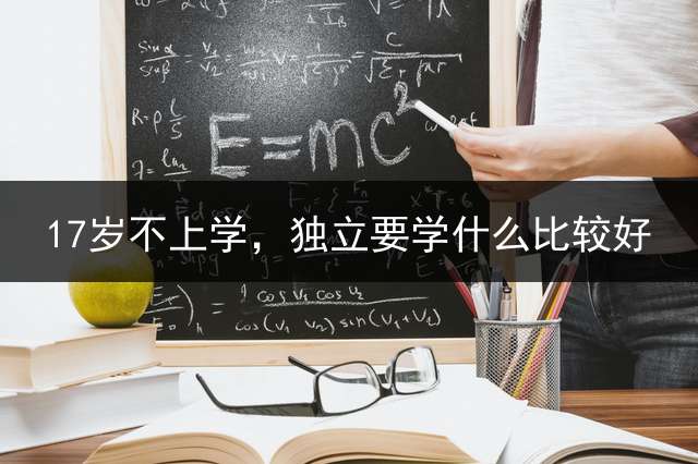 17岁不上学，独立要学什么比较好？