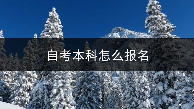 自考本科怎么报名？