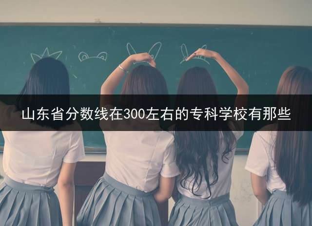 山东省分数线在300左右的专科学校有那些？