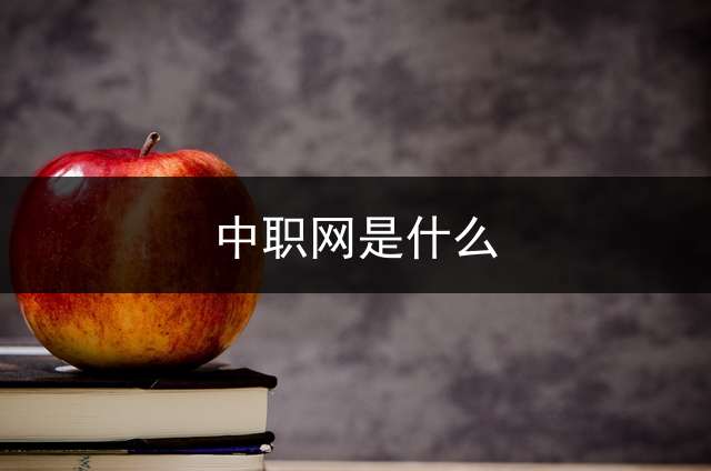 中职网是什么？