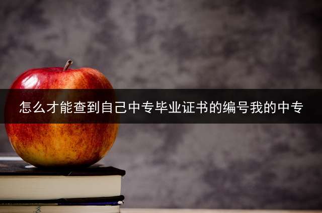 怎么才能查到自己中专毕业证书的编号我的中专？ (中专毕业证编号查询？)