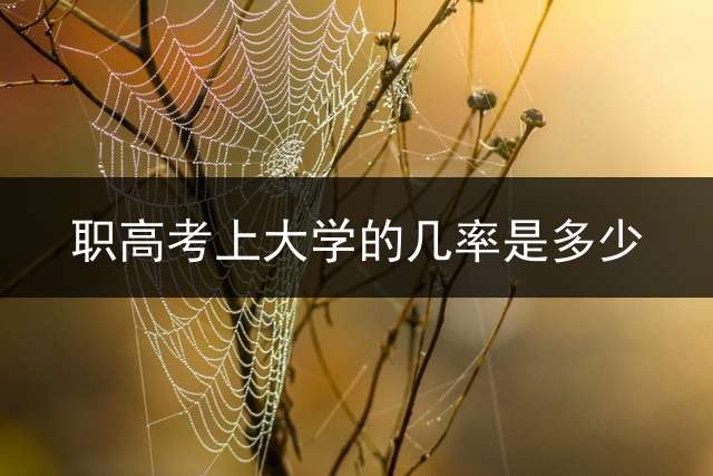 职高考上大学的几率是多少？