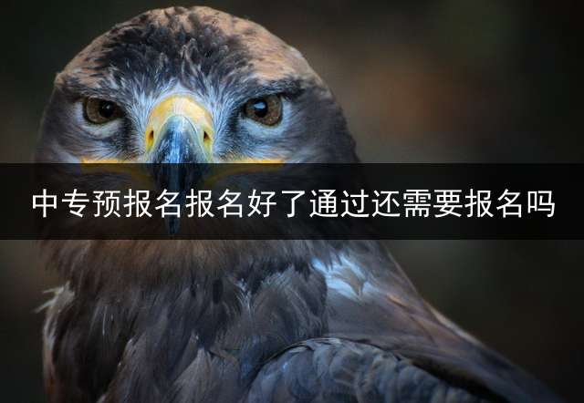 中专预报名报名好了通过还需要报名吗？ (去学校报名以后是直接被录取了吗？)