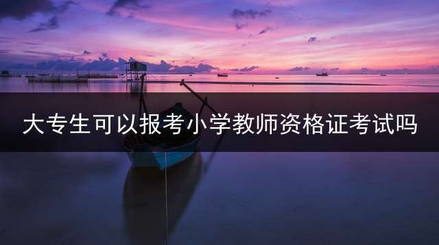 大专生可以报考小学教师资格证考试吗？