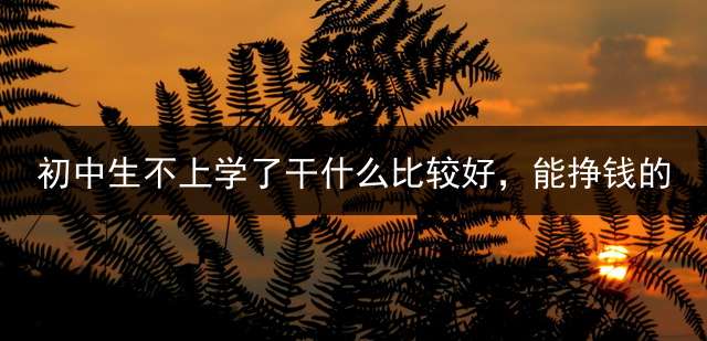 初中生不上学了干什么比较好，能挣钱的？