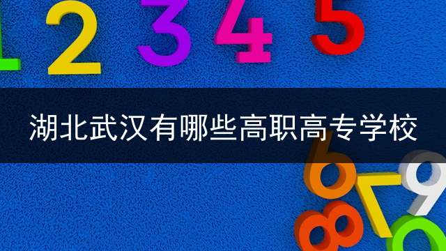 湖北武汉有哪些高职高专学校？ (武汉公办高职高专（一）有哪几所学校？)