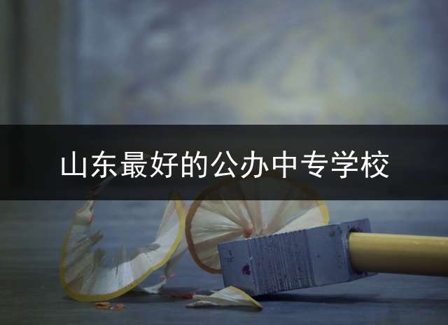 山东最好的公办中专学校？ 山东省中专学校排名？