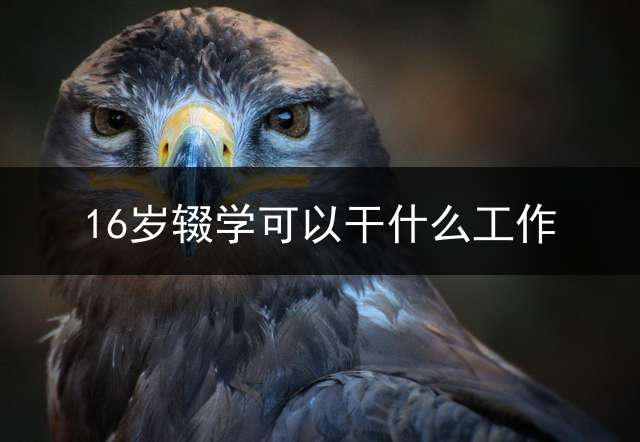 16岁辍学可以干什么工作？ (16岁没学历能做什么工作？)