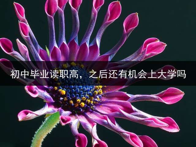 初中毕业读职高，之后还有机会上大学吗？ (中考生被技校录取还能不能换学校？)
