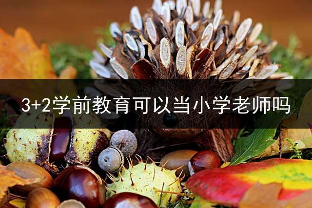 3+2学前教育可以当小学老师吗？