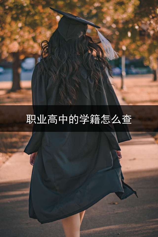 职业高中的学籍怎么查？