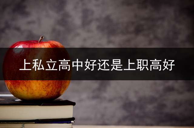 上私立高中好还是上职高好？