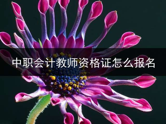 中职会计教师资格证怎么报名？