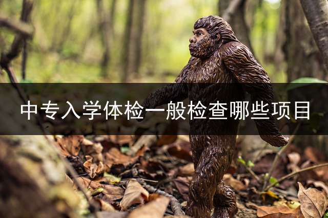 中专入学体检一般检查哪些项目？