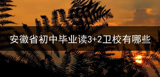 安徽省初中毕业读3+2卫校有哪些？