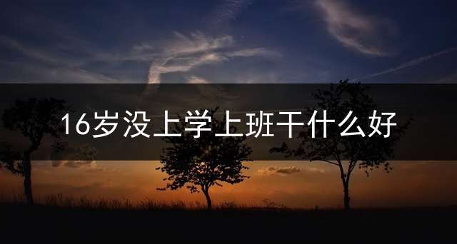 16岁没上学上班干什么好？ 16岁没学历能做什么工作？