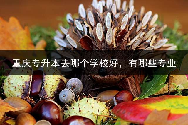 重庆专升本去哪个学校好，有哪些专业？
