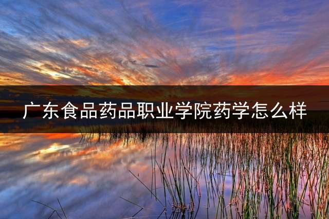 广东食品药品职业学院药学怎么样？