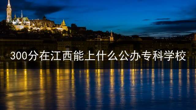 300分在江西能上什么公办专科学校？