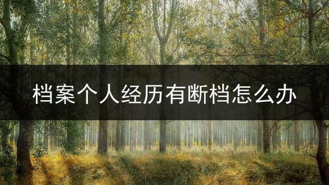 档案个人经历有断档怎么办？