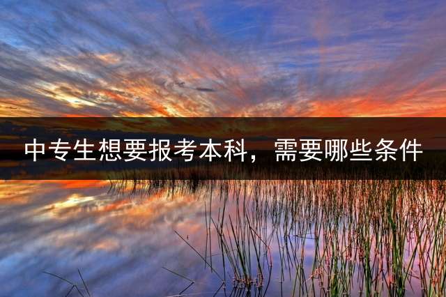 中专生想要报考本科，需要哪些条件？