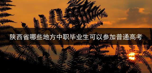 陕西省哪些地方中职毕业生可以参加普通高考？