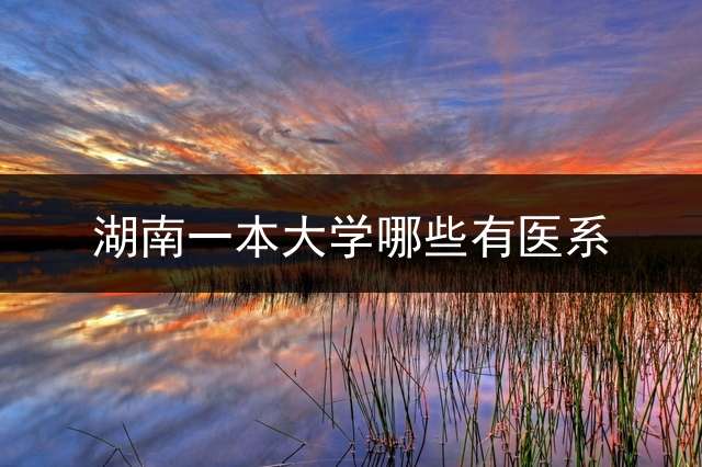 湖南一本大学哪些有医系？