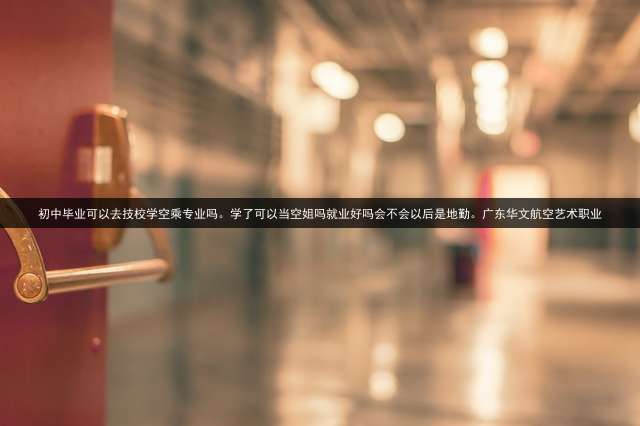 初中毕业可以去技校学空乘专业吗。学了可以当空姐吗？就业好吗？会不会以后是地勤。广东华文航空艺术职业？