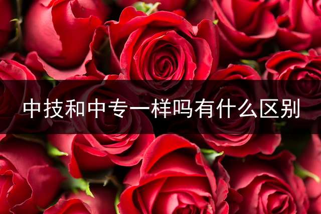 中技和中专一样吗？有什么区别？