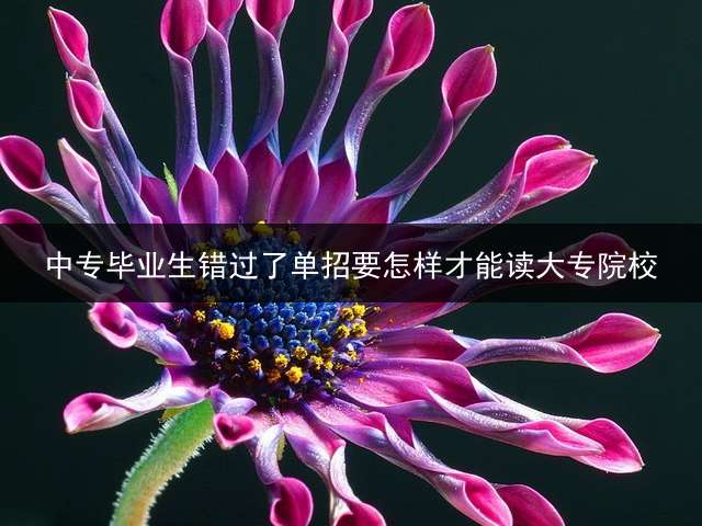 中专毕业生错过了单招要怎样才能读大专院校？