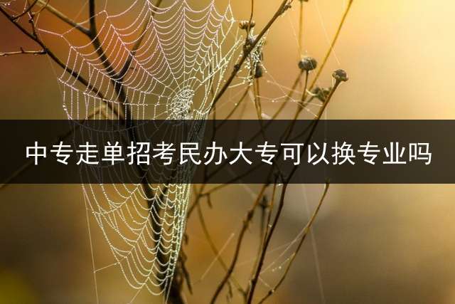 中专走单招考民办大专可以换专业吗？