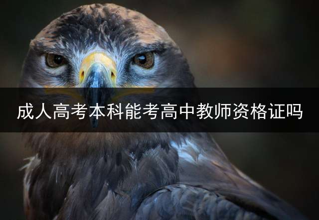 成人高考本科能考高中教师资格证吗？