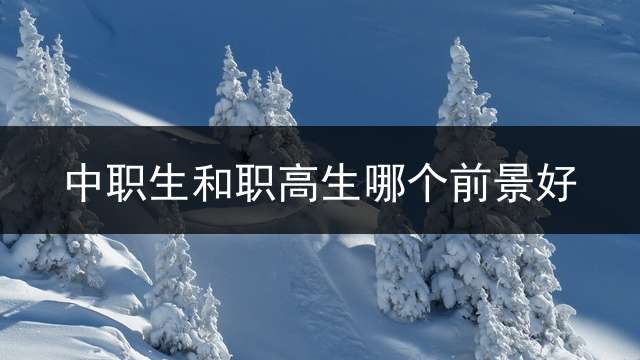 中职生和职高生哪个前景好？