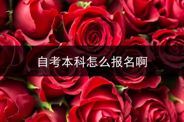 自考本科怎么报名啊？ (自考本科去哪报名？)