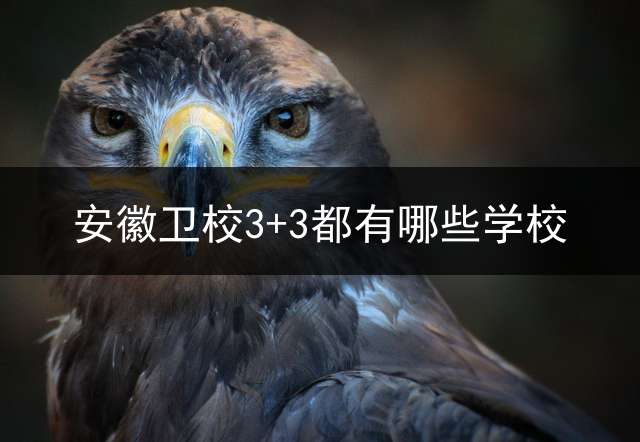 安徽卫校3+3都有哪些学校？