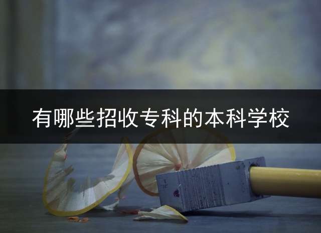有哪些招收专科的本科学校？