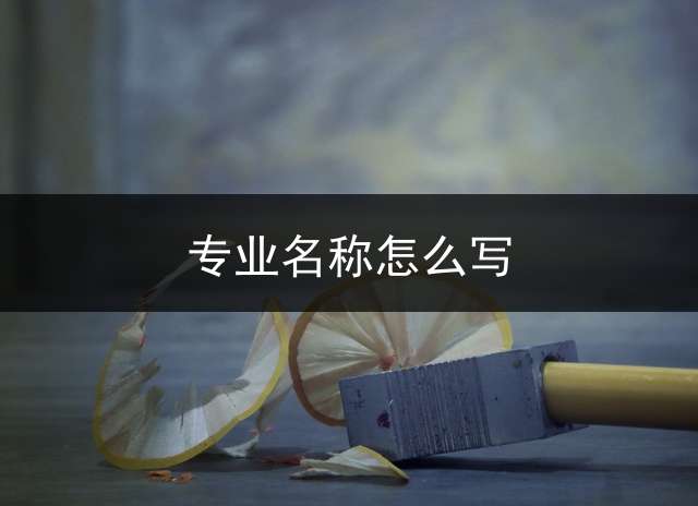 专业名称怎么写？
