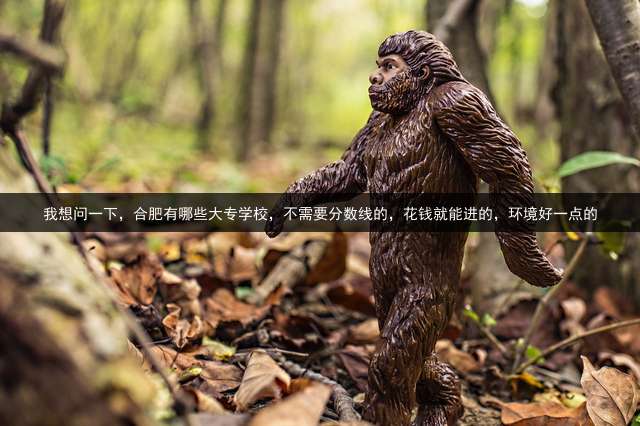 我想问一下，合肥有哪些大专学校，不需要分数线的，花钱就能进的，环境好一点的？
