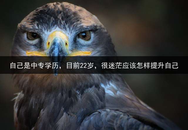 自己是中专学历，目前22岁，很迷茫应该怎样提升自己？