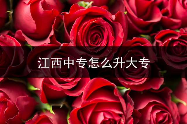 江西中专怎么升大专？ (江西中专升大专要考哪几门？)